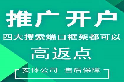 百度推广代运营成功案例解析
